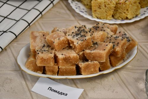 Бишнә авыл җирлегендә хисап сессиясе