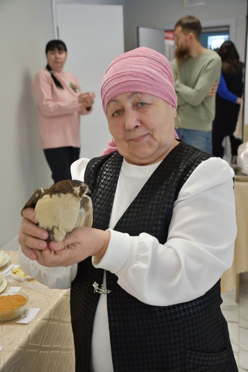 Бишнә авыл җирлегендә хисап сессиясе