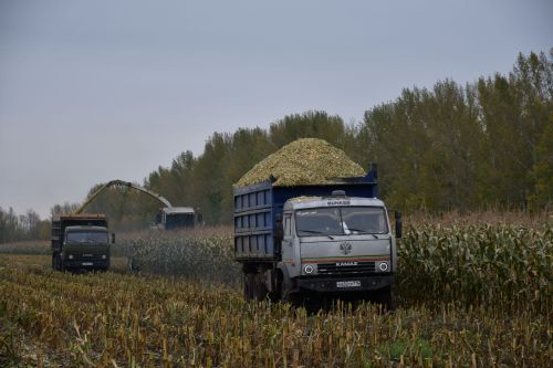 Авыл хуҗалыгы хезмәткәрләре белән очрашу