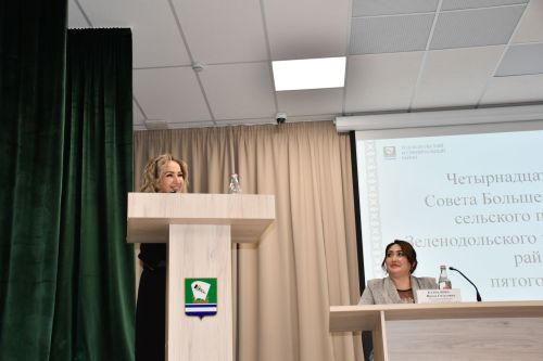 Олы Шырдан җирлеге хисап сессиясе