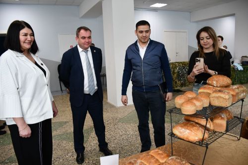 Әйшә авыл җирлегендә хисап сессиясе