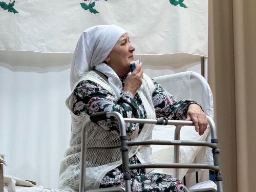 Гөлшат Мөхәммәтшина әсәре буенча куелган «Пар аккош» спектакле