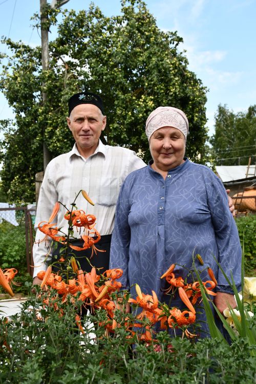 Авыллар