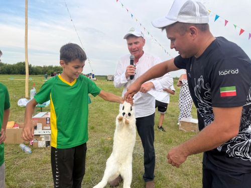 Татар Танае Авыл көне