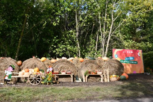 Рус Әҗәле авылында матур бер яңалык