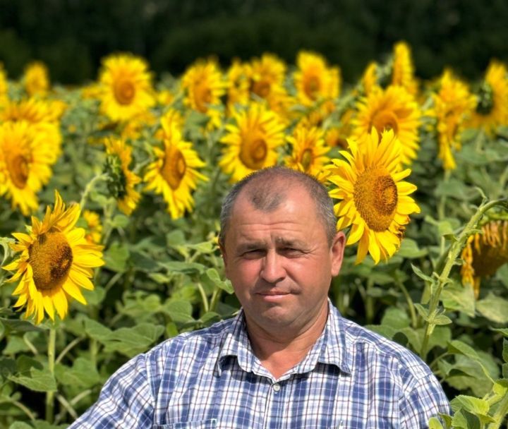 «Красный Восток Агро» җәмгыяте районыбызда иң беренчеләрдән булып урып җыюга керешкән