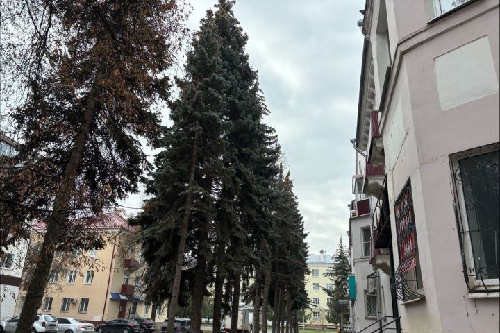 4 ноябрьгә һава торышы