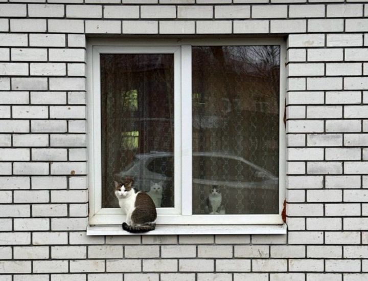 3 декабрьгә һава торышы
