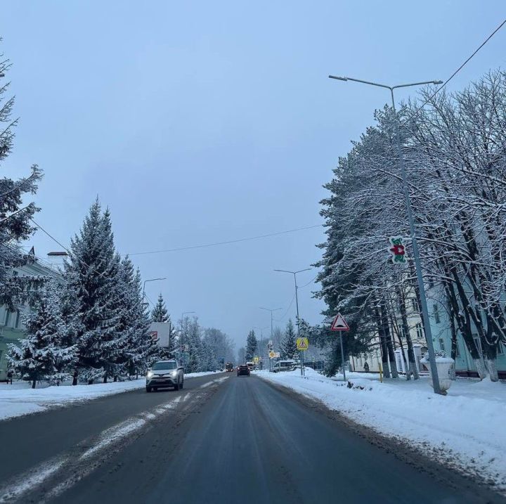 Яшел Үзәндә 12 февральгә һава торышы