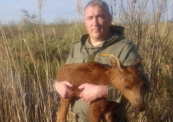 Яшел Үзән районындагы сазлыктан кечкенә поши баласын коткарганнар
