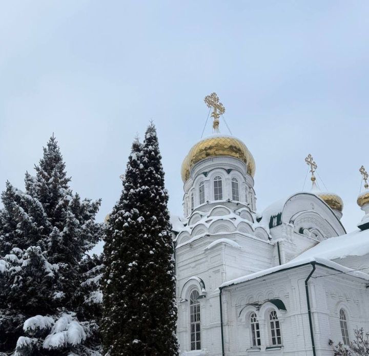 Раифа кунаклар кабул итте
