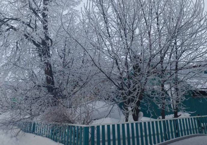 1 февральгә һава торышы