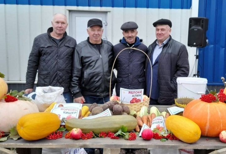 Авыл хуҗалыгы ярминкәләре 14 мартта эшли башлаячак