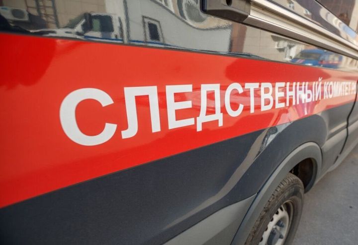 Яшел Үзәндә атна эчендә 14 урлау, 8 мошенниклык, 2 талау очрагы теркәлде