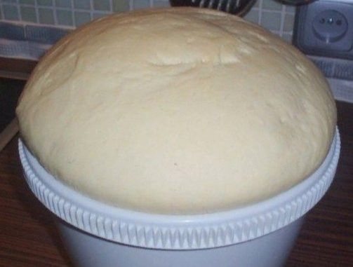 Тиз өлгерә торган камыр