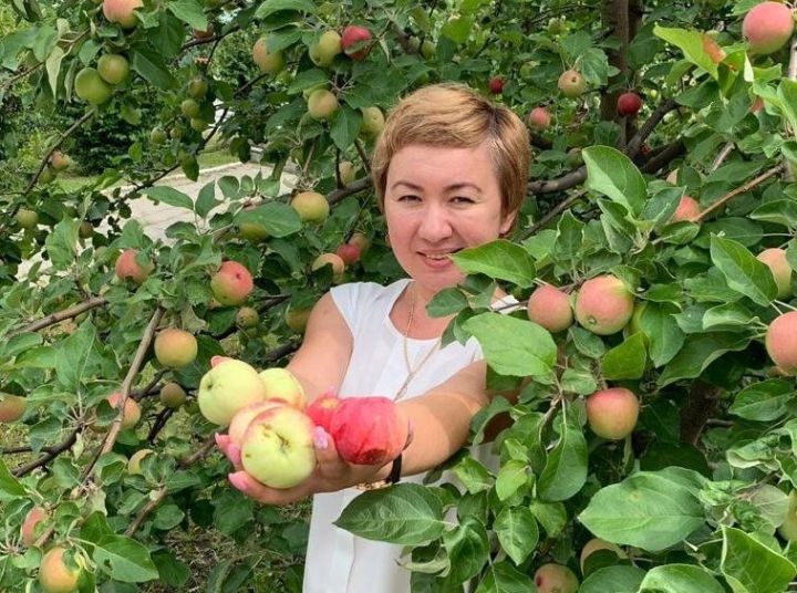 Алманы кышка ничек сакларга?