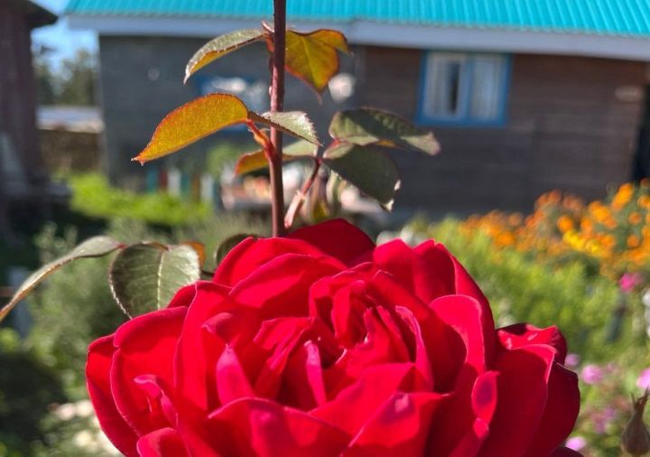 5 сентябрьгә һава торышы