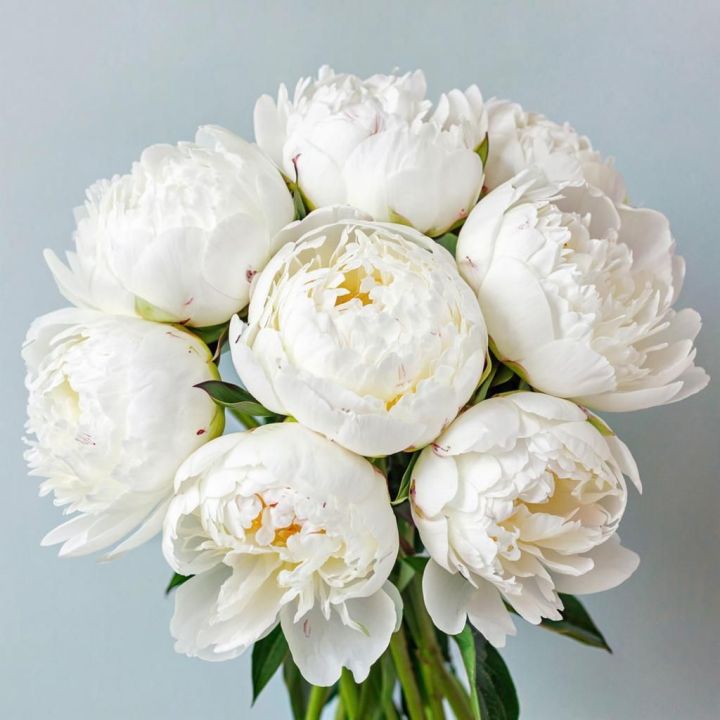 Мамадыш-Әкил авылында яшәүче Гөлмирә Кәлимуллинаның 55 яшьлек юбилее