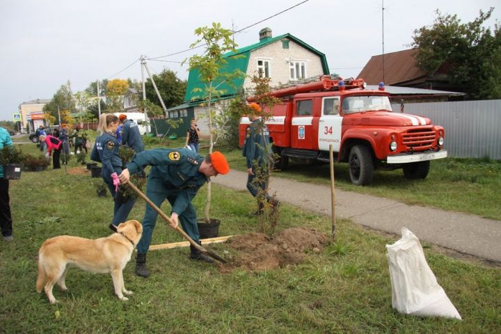 Яшел Үзәндә коткаручылар аллеясе барлыкка килде