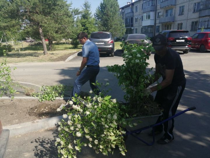 Васильевода "Безнең ишегалды өмәсе" узды