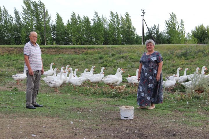 Лаеклы ялда икенче тормыш башлана