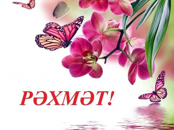 #күңелемдәгесенәйтәм