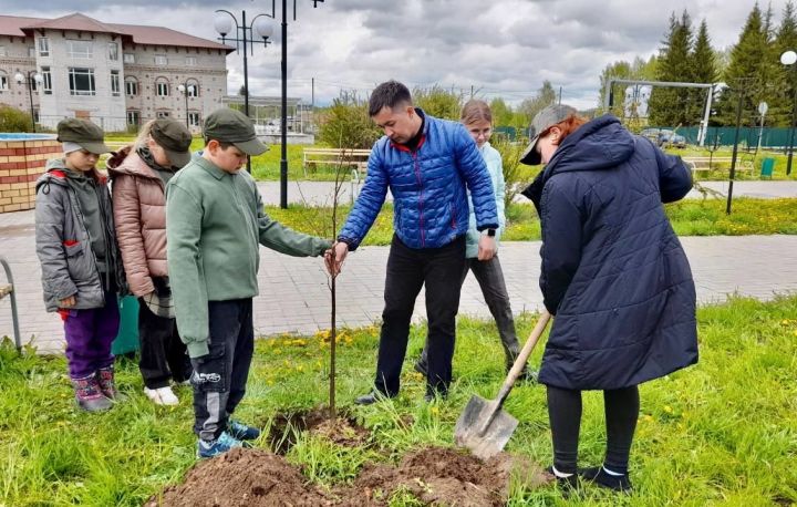 Мәктәп урманчылыгын булдыру проектын тормышка ашыру кысаларында Раифа авыл җирлегендә Хәтер аллеясына нигез салынды