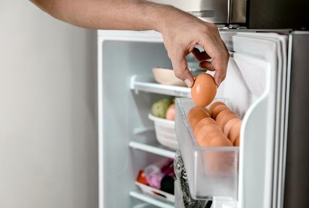 Суыткычны ярата торган сальмонеллез бактерияләреннән ничек сакланырга?