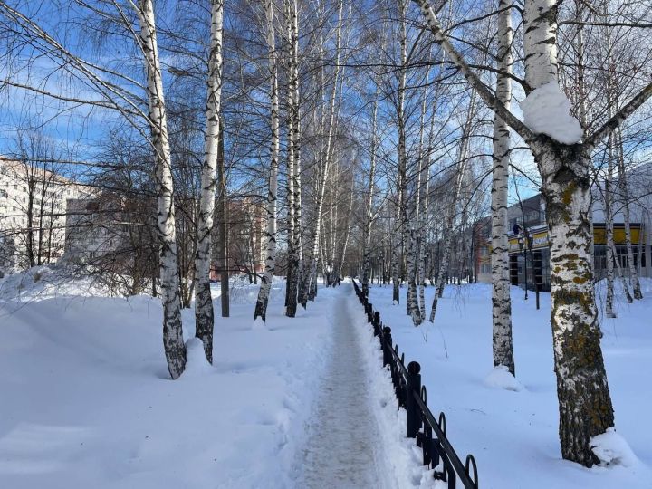 Татарстанда төнге салкыннардан соң -1 градуска кадәр җылыну көтелә