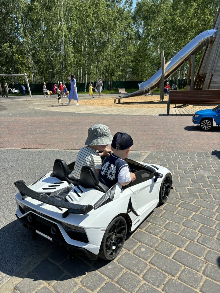 «Каенлык» паркында Яшьләр көнен үткәрәчәкләр