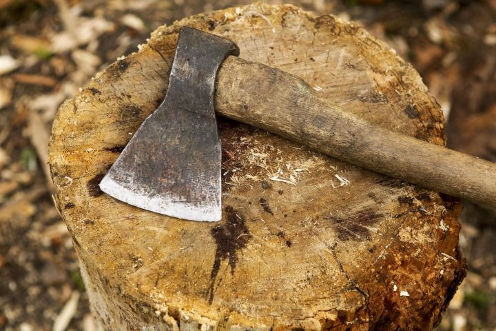 17 яшьлек яшүсмер сеңлесен балта белән чабып үтергән