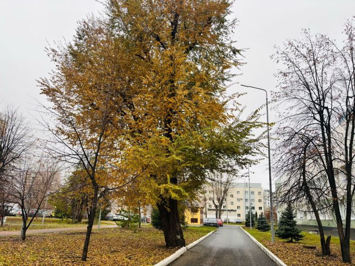 18 ноябрьгә һава торышы