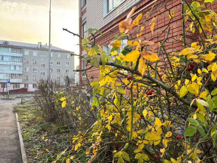 102 ел сакланган температура рекорды яңартылачак