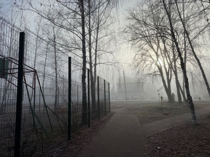 25 ноябрьгә һава торышы