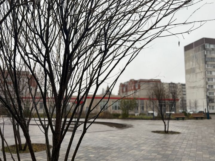 30 ноябрьгә һава торышы