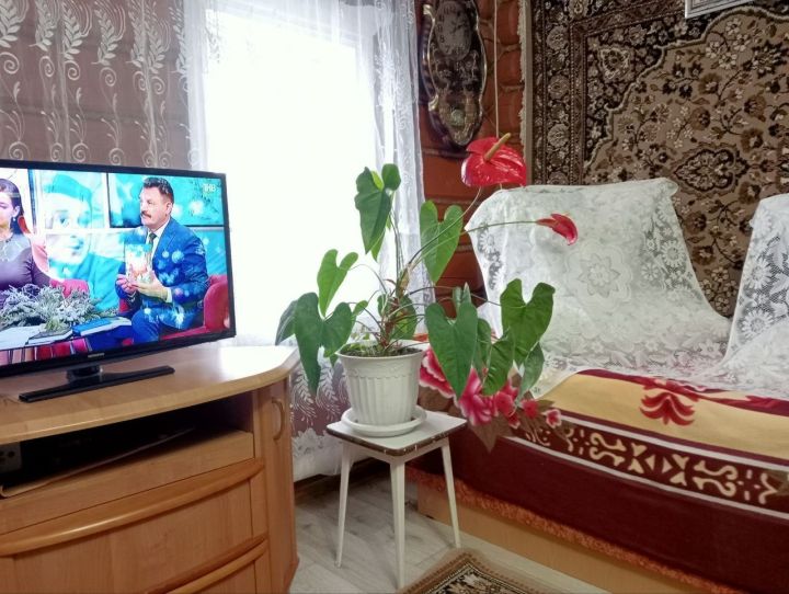 Нигез тынычлыгын ничек сакларга? Ислам динендә моның берәр шарты бармы?