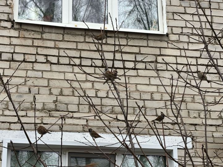 5 декабрьгә һава торышы
