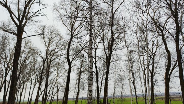 7 декабрьгә һава торышы