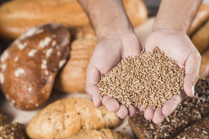 Бодай һәм арыш көрпәсенең организмга файдасы