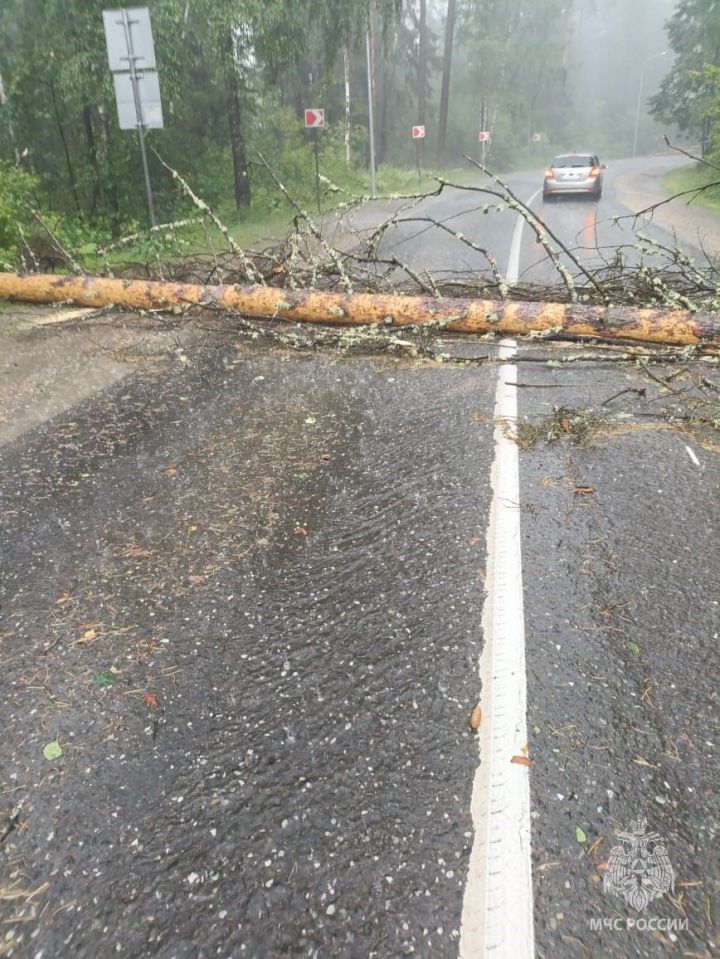 Раифада янгын сүндерүчеләр давыл нәтиҗәләрен бетерде