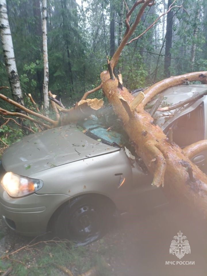 Раифада янгын сүндерүчеләр давыл нәтиҗәләрен бетерде