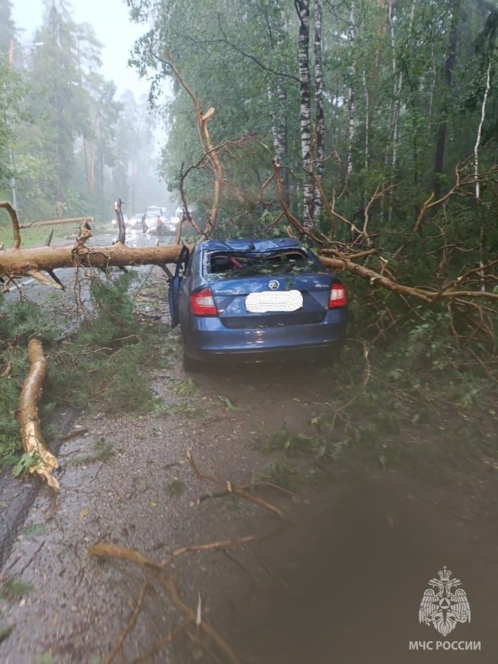 Раифада янгын сүндерүчеләр давыл нәтиҗәләрен бетерде