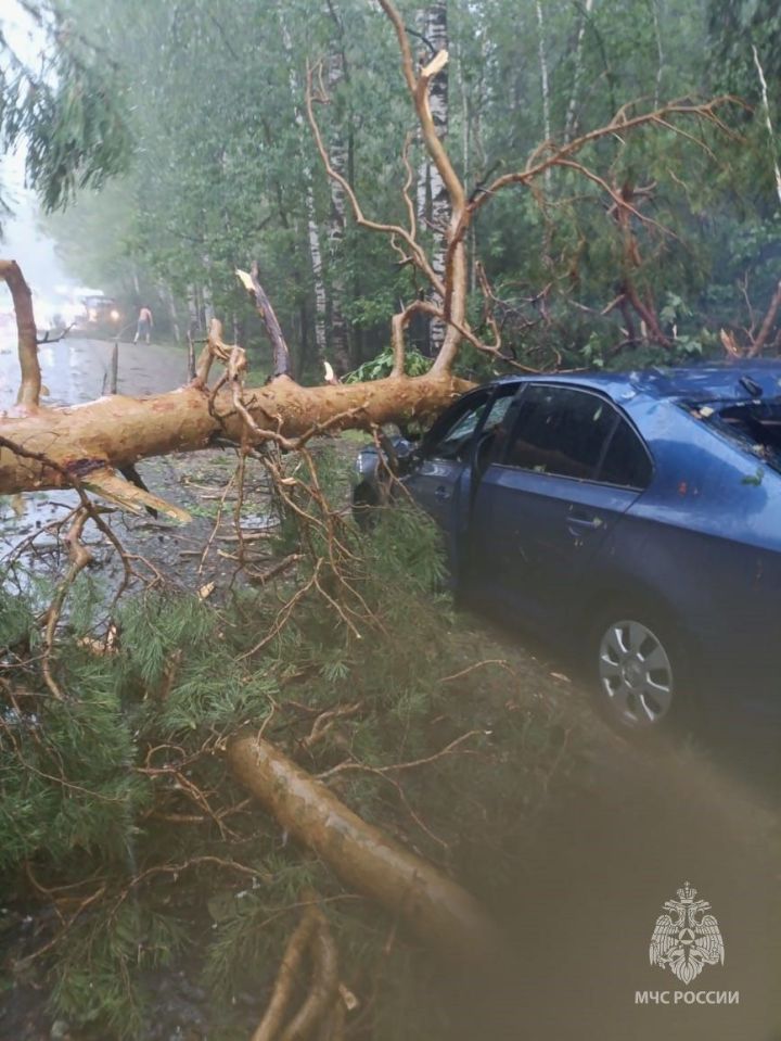 Раифада янгын сүндерүчеләр давыл нәтиҗәләрен бетерде