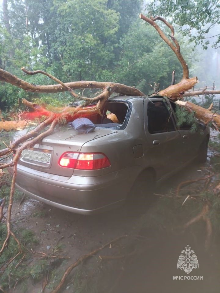 Раифада янгын сүндерүчеләр давыл нәтиҗәләрен бетерде