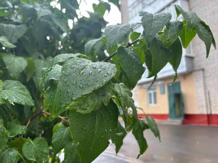 6нчы августка һава торышы