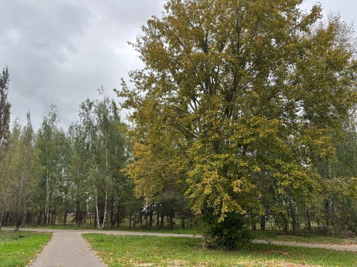 12 сентябрьгә һава торышы