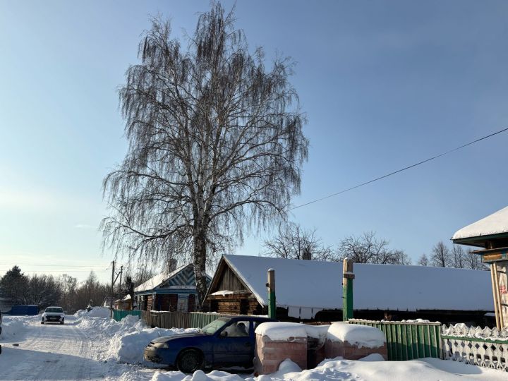 26 гыйнварга һава торышы
