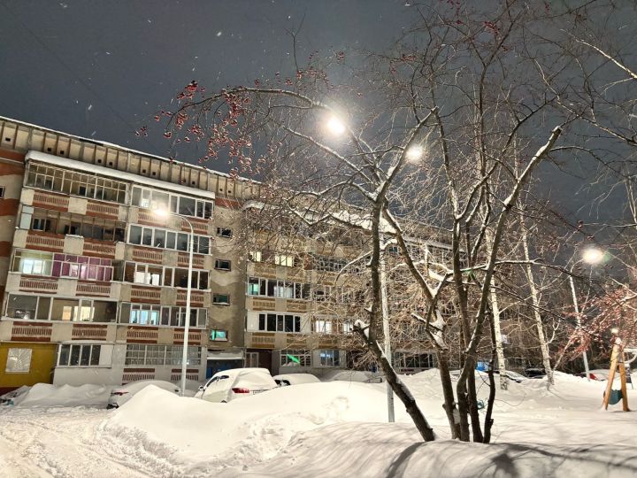 31 гыйнварга һава торышы