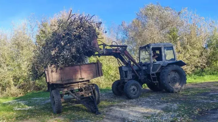 Олы Шырдан мәдәният йорты тирәсендә өмәләр дәвам итә