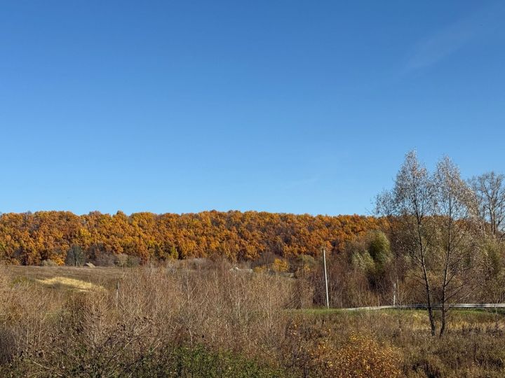 15 октябрьгә һава торышы
